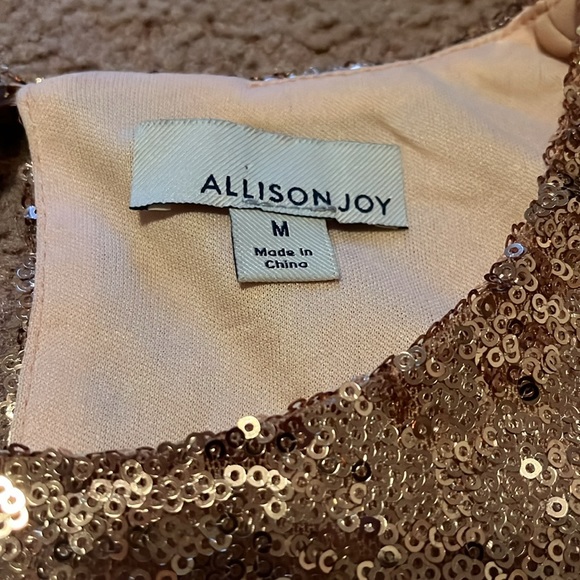 Allison Joy Rose gold sequined top - Picture 5 of 5